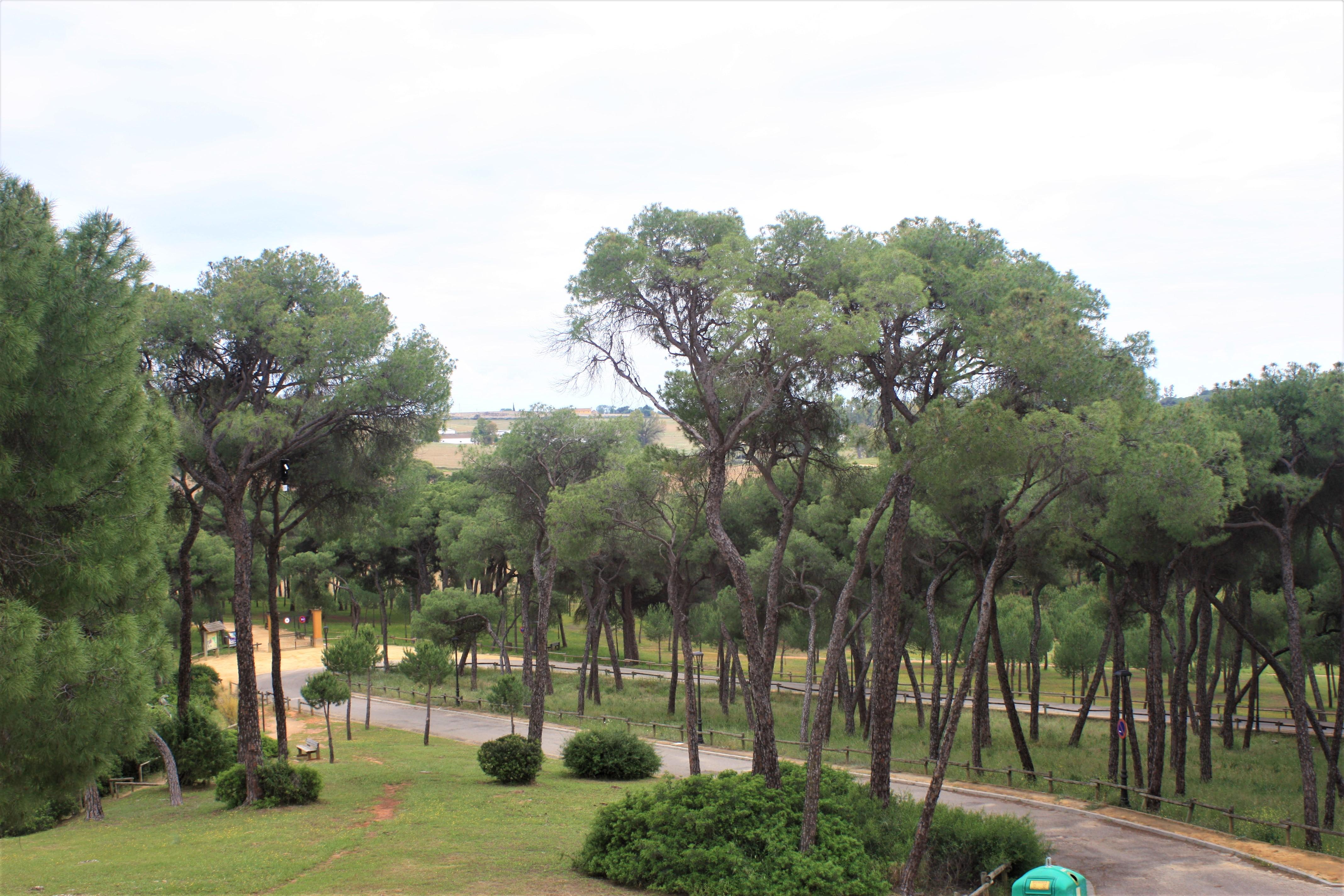Hotel Oromana Alcalá de Guadaira Exteriör bild