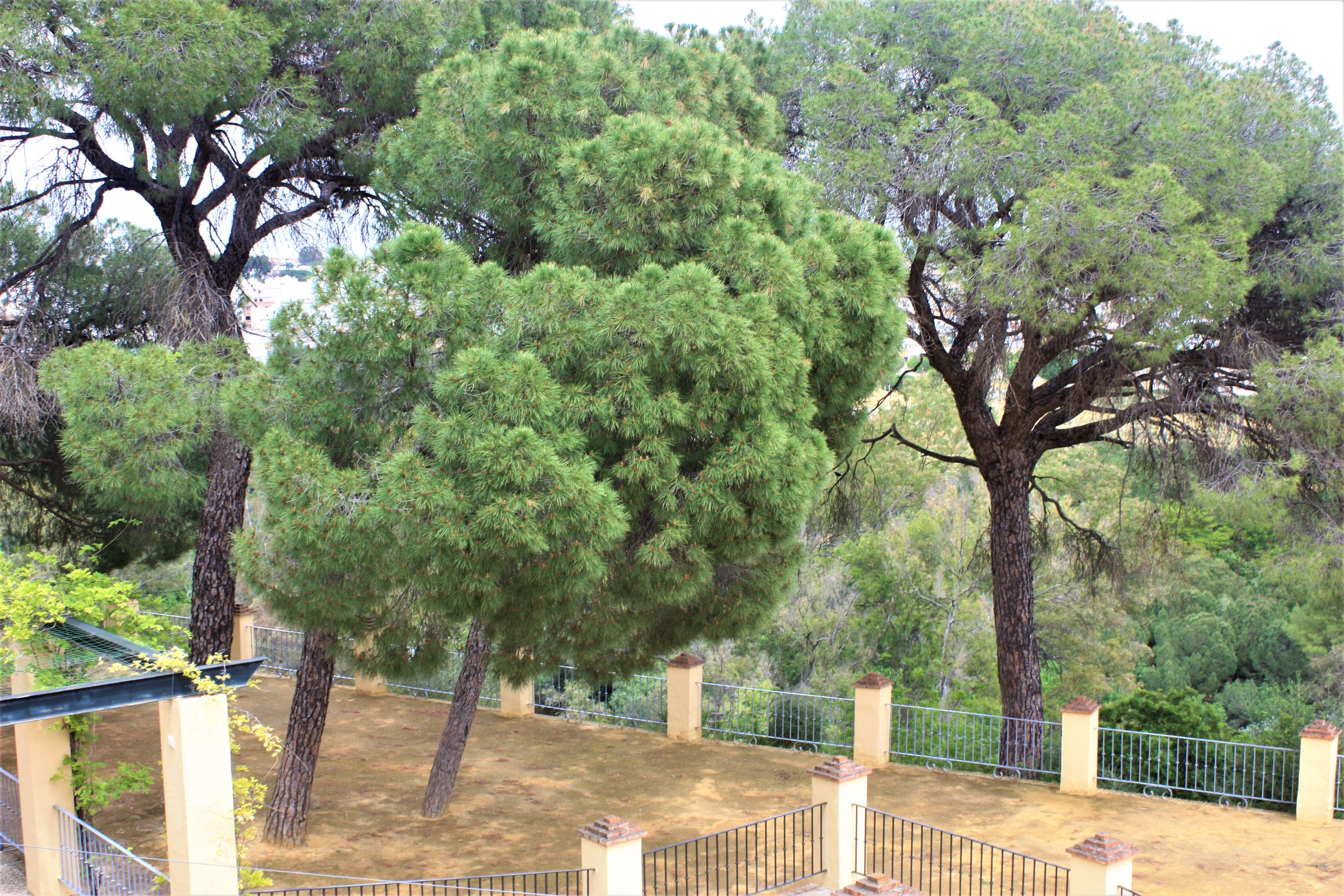 Hotel Oromana Alcalá de Guadaira Exteriör bild