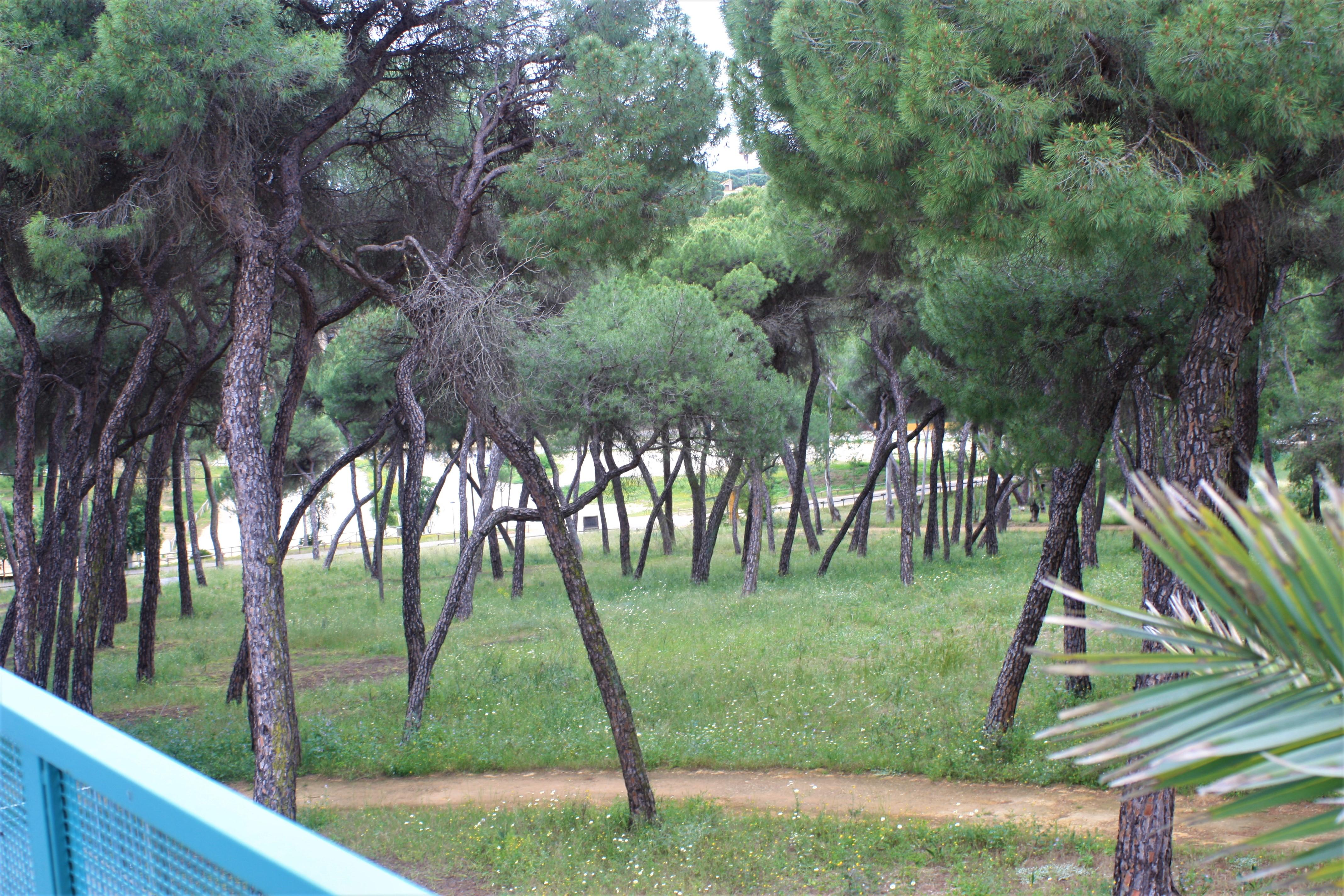 Hotel Oromana Alcalá de Guadaira Exteriör bild